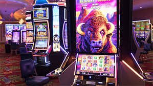 won4d tampilan lobby game slot dan kasino live